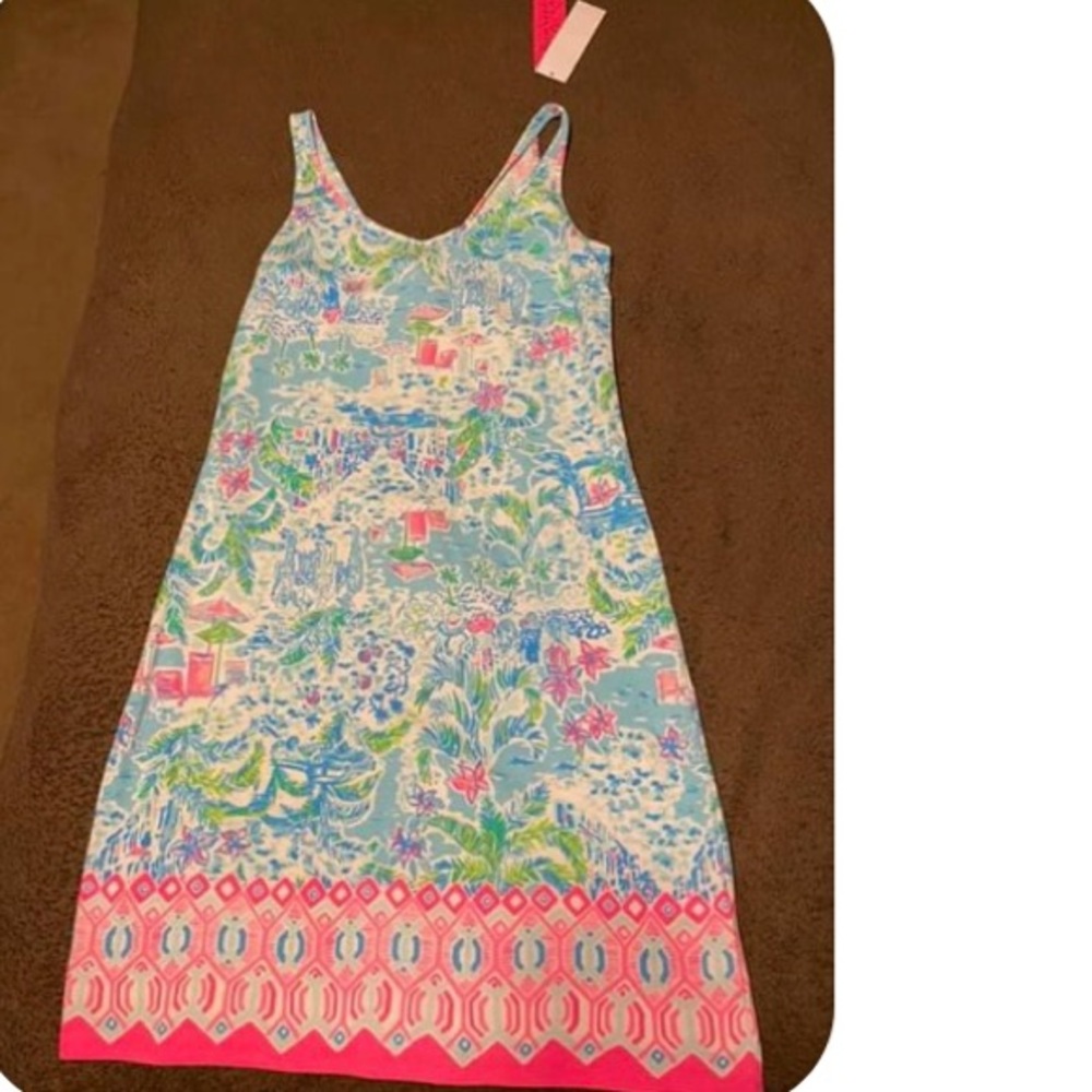 Lilly Pulitzer what a lovely place adrianna NWT xs